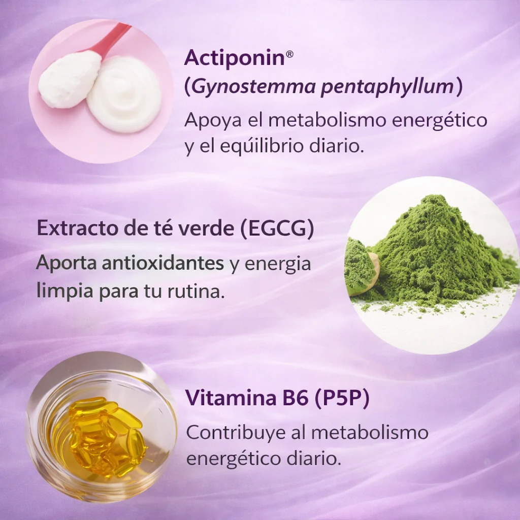 Lemme Burn Metabolism AMPK Activator  60 Capsulas | Activa tu Metabolismo  Naturalmente | Morosil Green Tea  Vitaminas B | Envio Express Guatemala